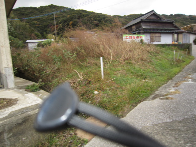 ギャラリー画像