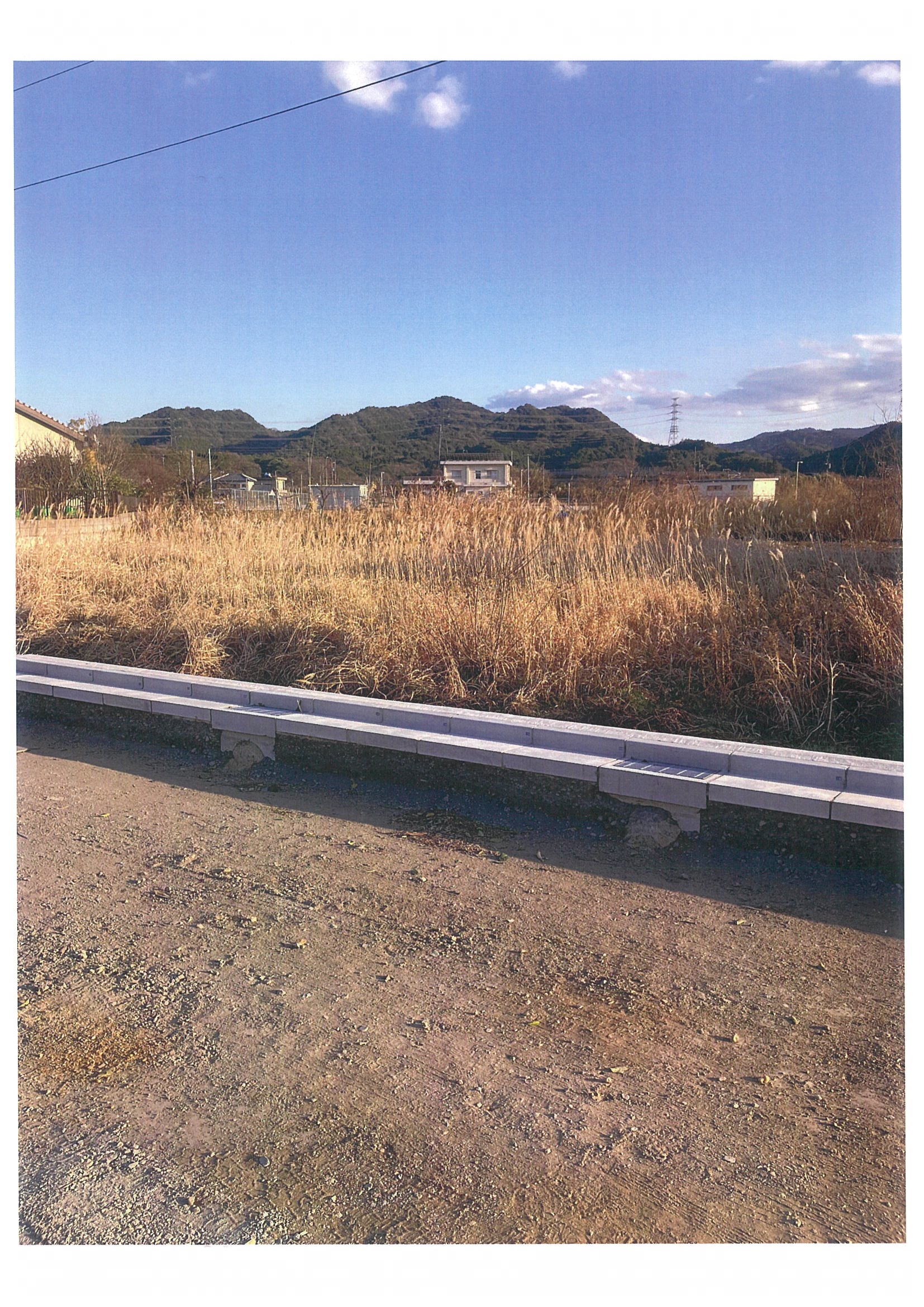 ギャラリー画像