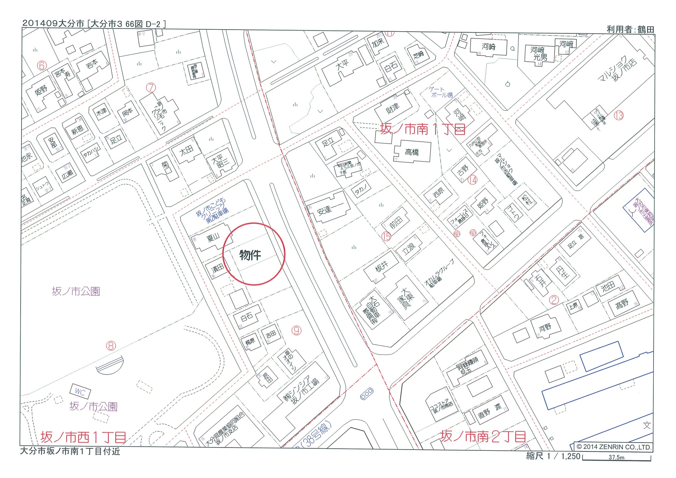 ギャラリー画像