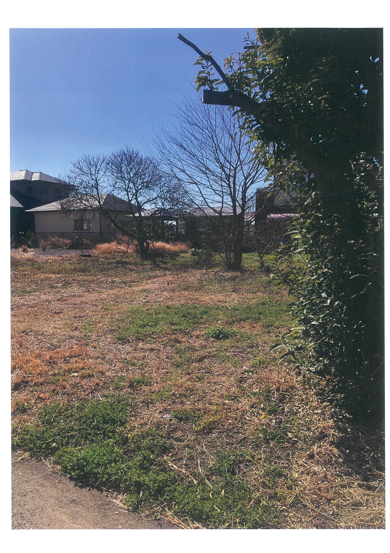 ギャラリー画像