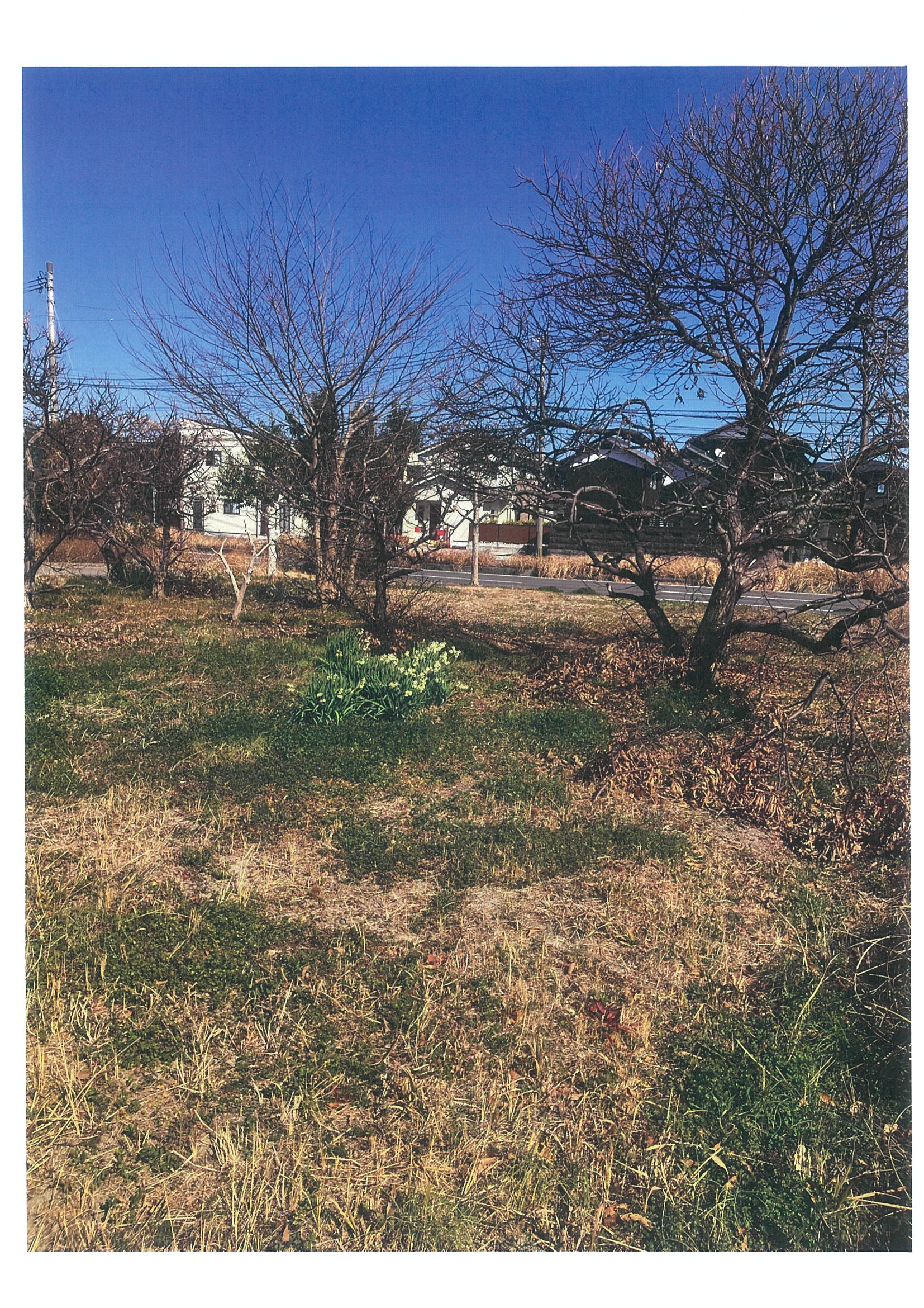 ギャラリー画像