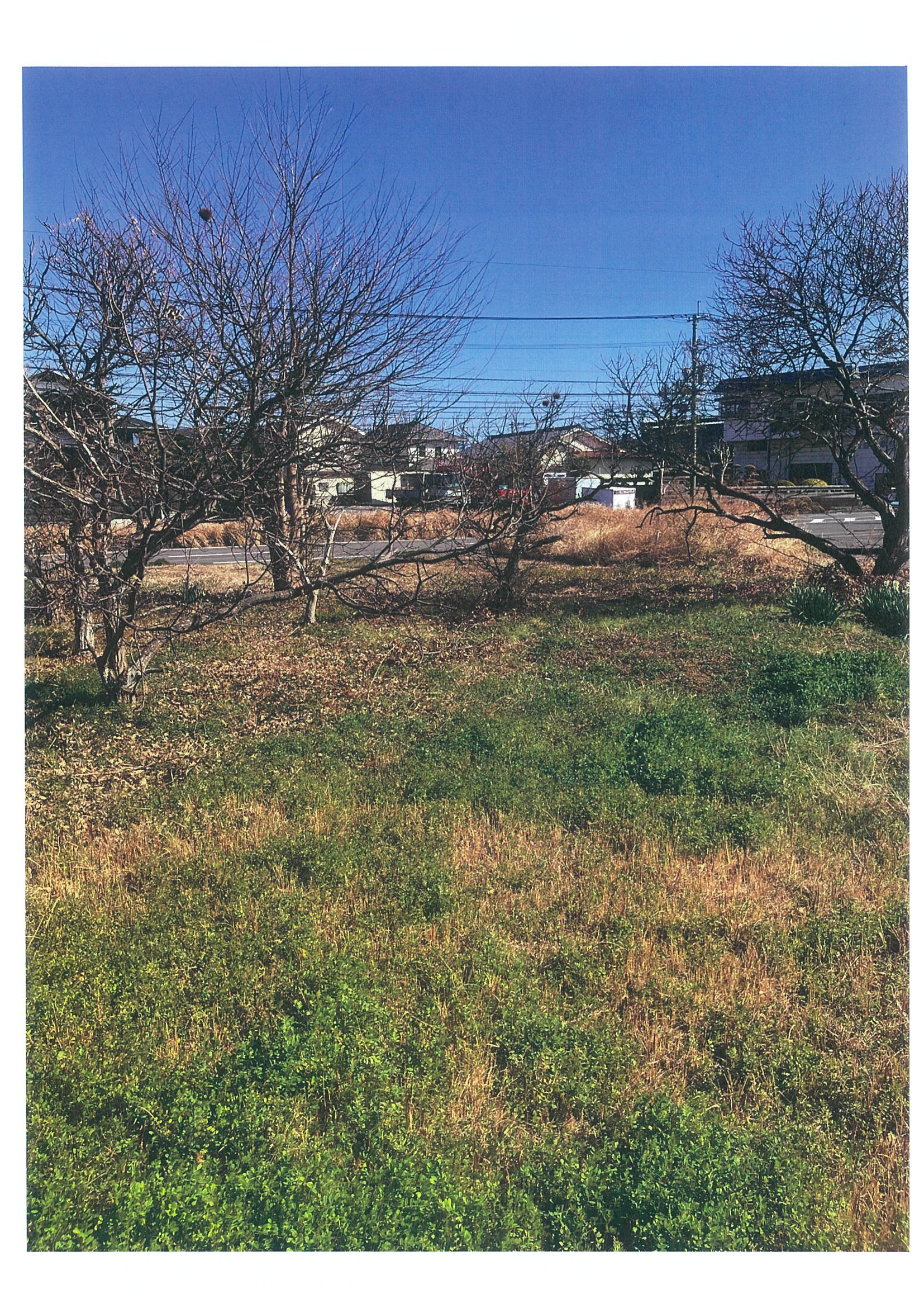 ギャラリー画像