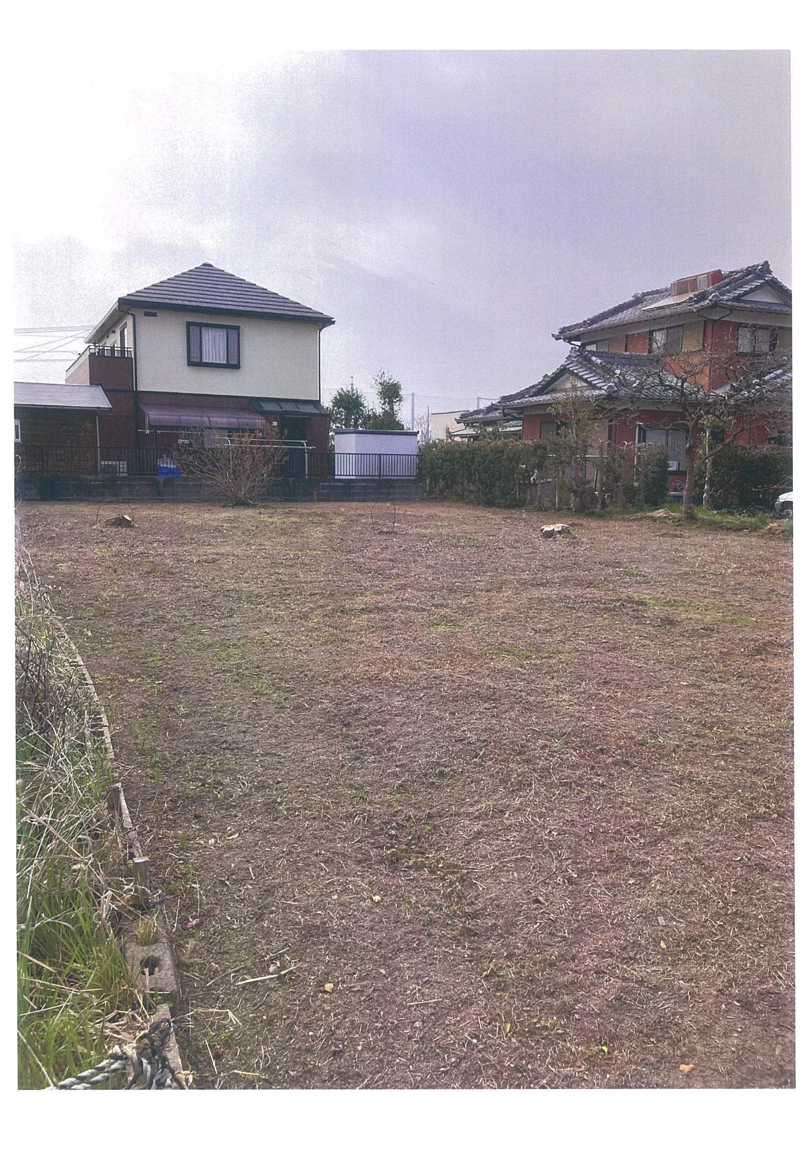 ギャラリー画像