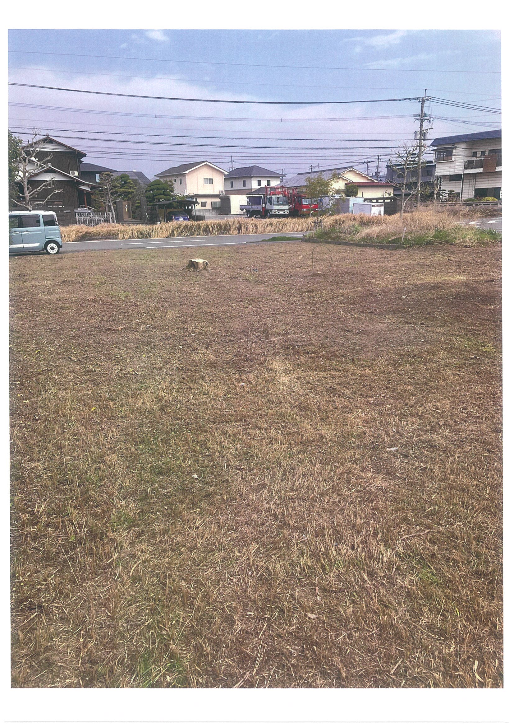 ギャラリー画像