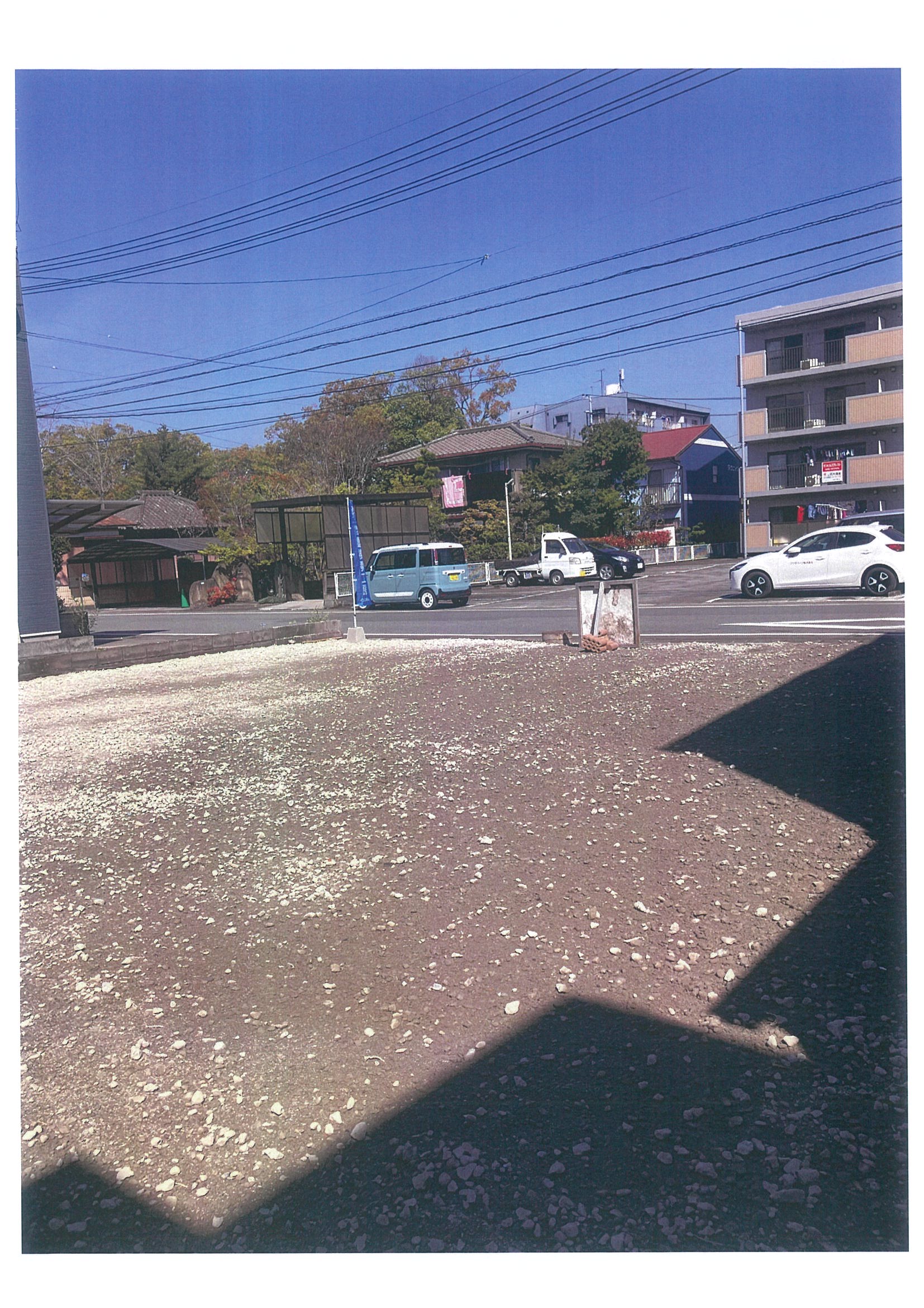 ギャラリー画像